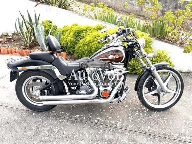 HARLEY-DAVIDSON SOFTAIL