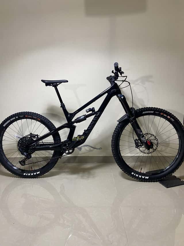 CANYON TORQUE CF MULLET