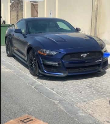 mustang 2019