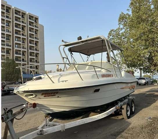 Ambassador 25 ft