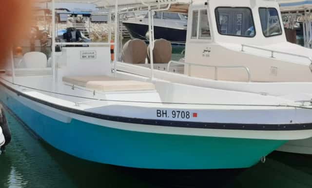 29 ft boat for sale