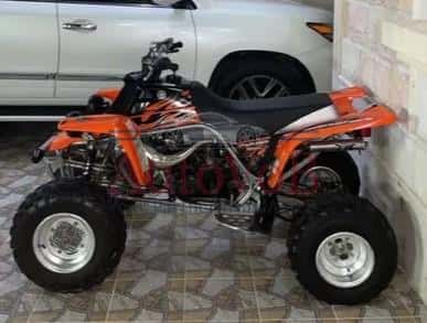 Banshee 2008