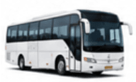 Buses
