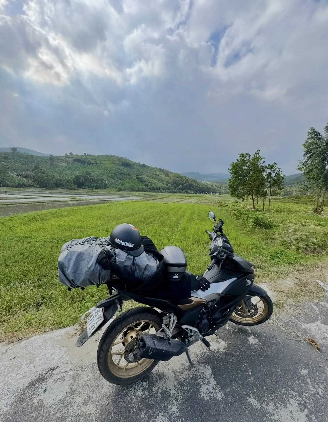 HONDA WINNER photo 1