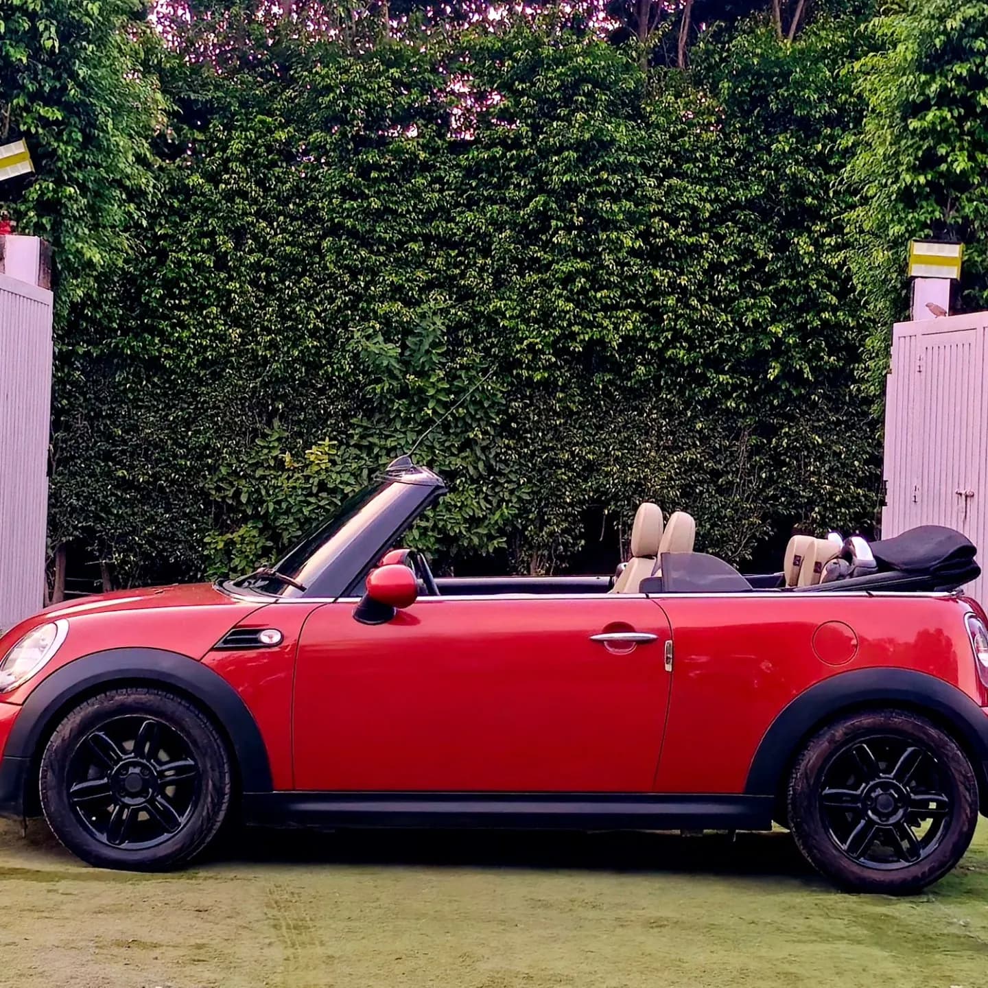 MINI COOPER CONVERTABLE photo 1