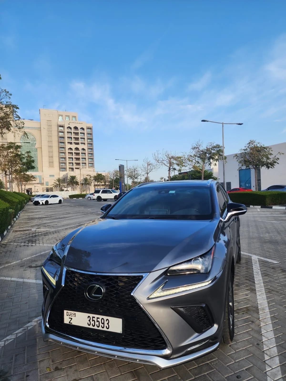 LEXUS  NX300 FSPORT photo 1