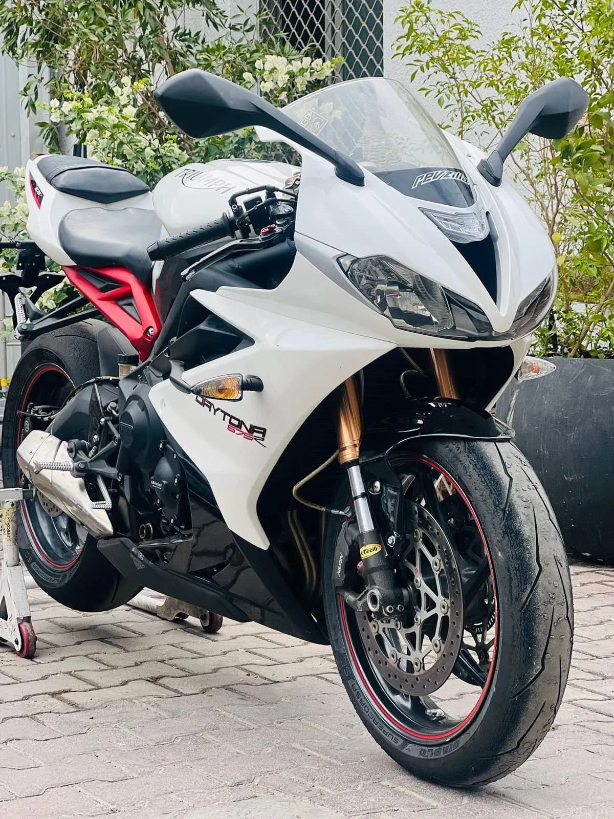 TRIUMPH DAYTONA photo 1