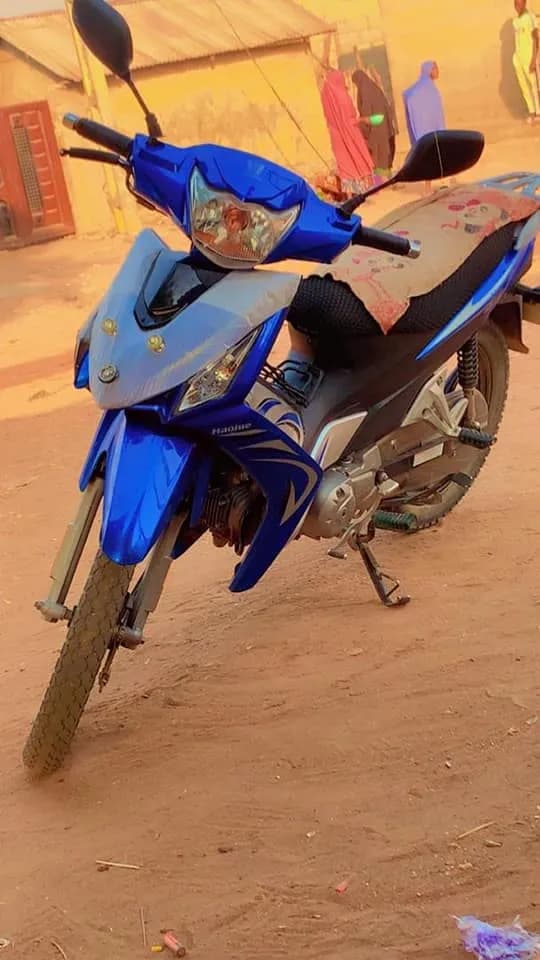 HAJUA LUCKY PLUS photo 1