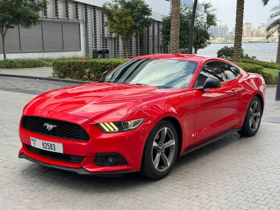 FORD MUSTANG photo 1