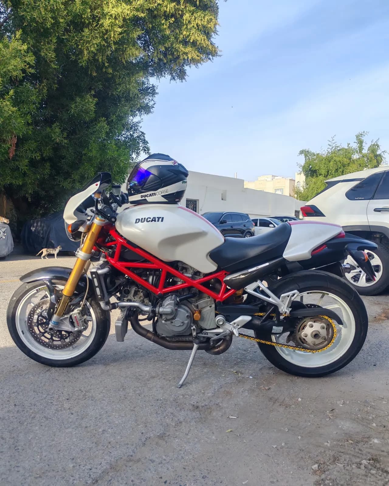 DUCATI S4RS TESTASTRETTA 2008 photo 1