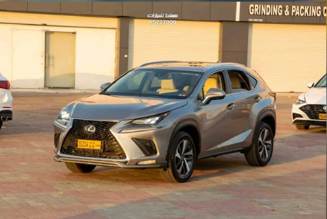 2018 LEXUS NX 300 photo 1