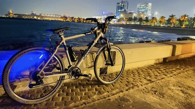 CANNONDALE F300