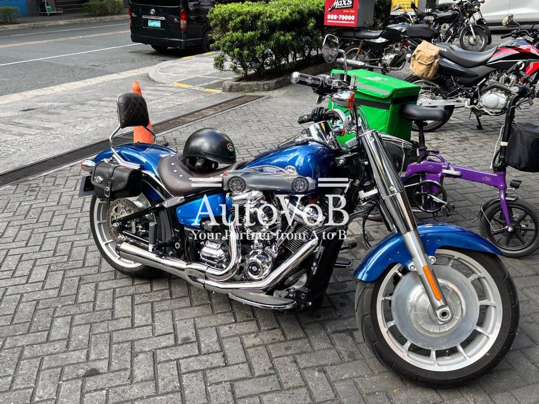 HARLEY-DAVIDSON FATBOY 114 photo 1