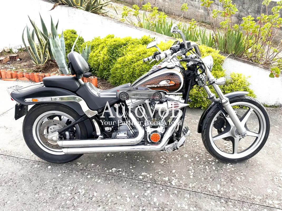 HARLEY-DAVIDSON SOFTAIL photo 1