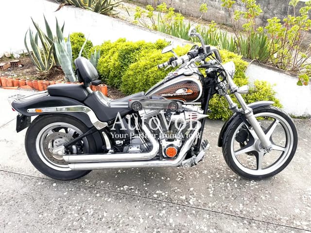 HARLEY-DAVIDSON SOFTAIL