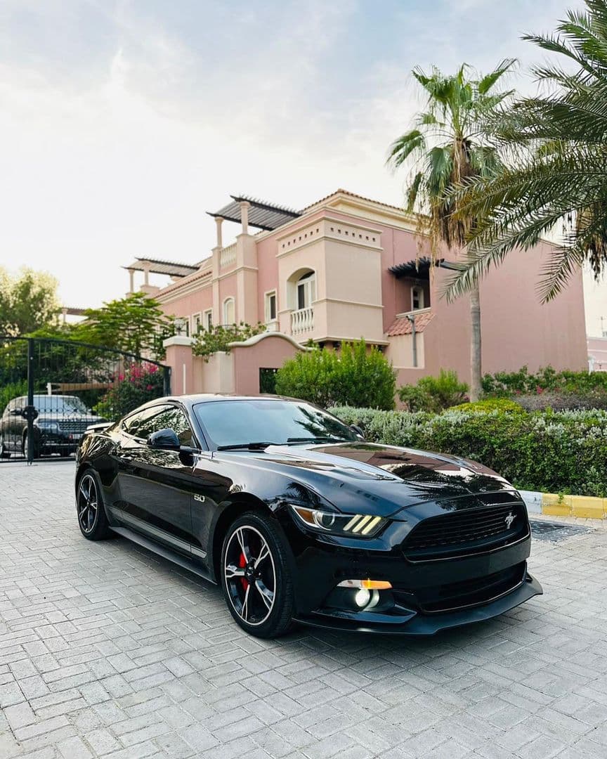 Ford Mustang photo 1