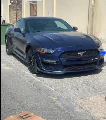 mustang 2019 photo 1