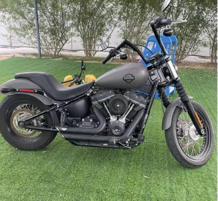 Harley street bob clean whatsapp photo 1