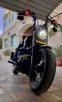 Sporster XL (CB) 1200 photo 1