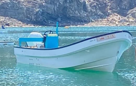 Al-Vannah boat for sale, 25 feet 2018 photo 1
