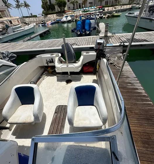 15ft American pleasure boat with tractor for sale photo 1