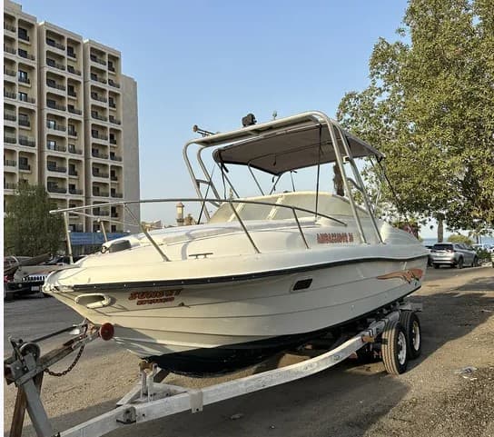 Ambassador 25 ft photo 1