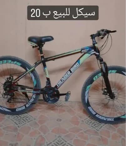 bicycle Thunder bird photo 1