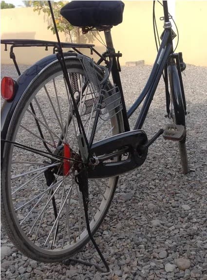 Japanese cycle photo 1
