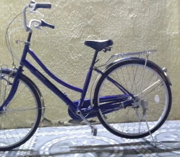 truck cycle photo 1