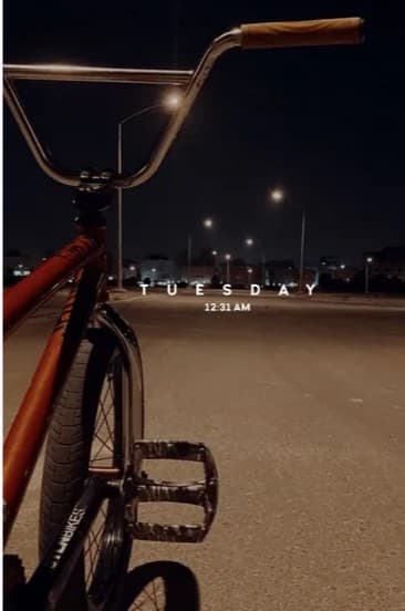 bmx stolen photo 1