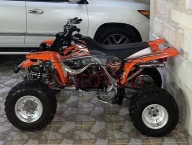 Banshee 2008 photo 1