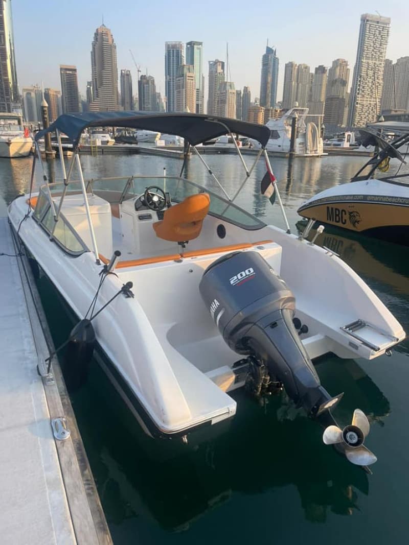 Marine craft type :pleasure power boat photo 1