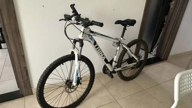 TRINEX CYCLE