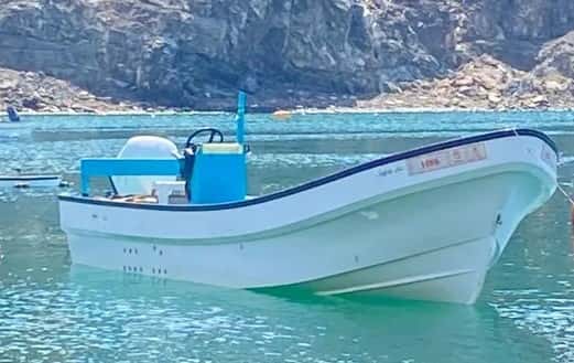 Al-Vannah boat for sale, 25 feet 2018